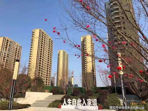 鎮江新盤速遞 一站式獲取樓盤動態、地址戶型與教育資源解析